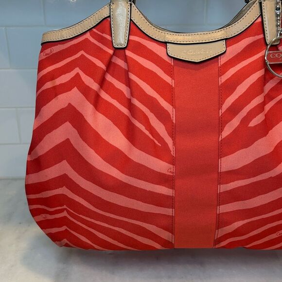 Coach Purse Handbag Tote Pocketbook Devin Exotic Stripe Zebra Print Shoulder Bag - Picture 2 of 16